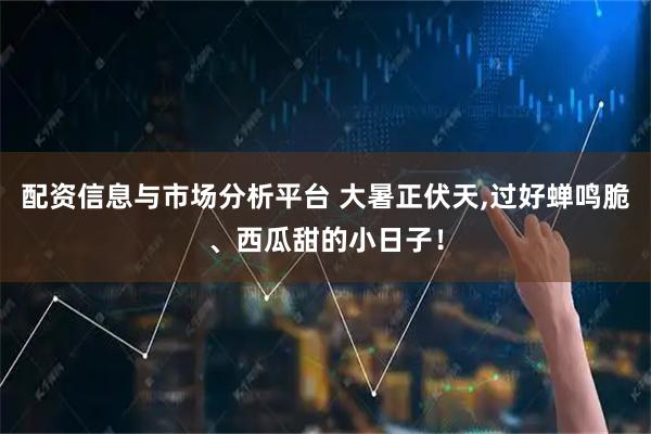 配资信息与市场分析平台 大暑正伏天,过好蝉鸣脆、西瓜甜的小日子！